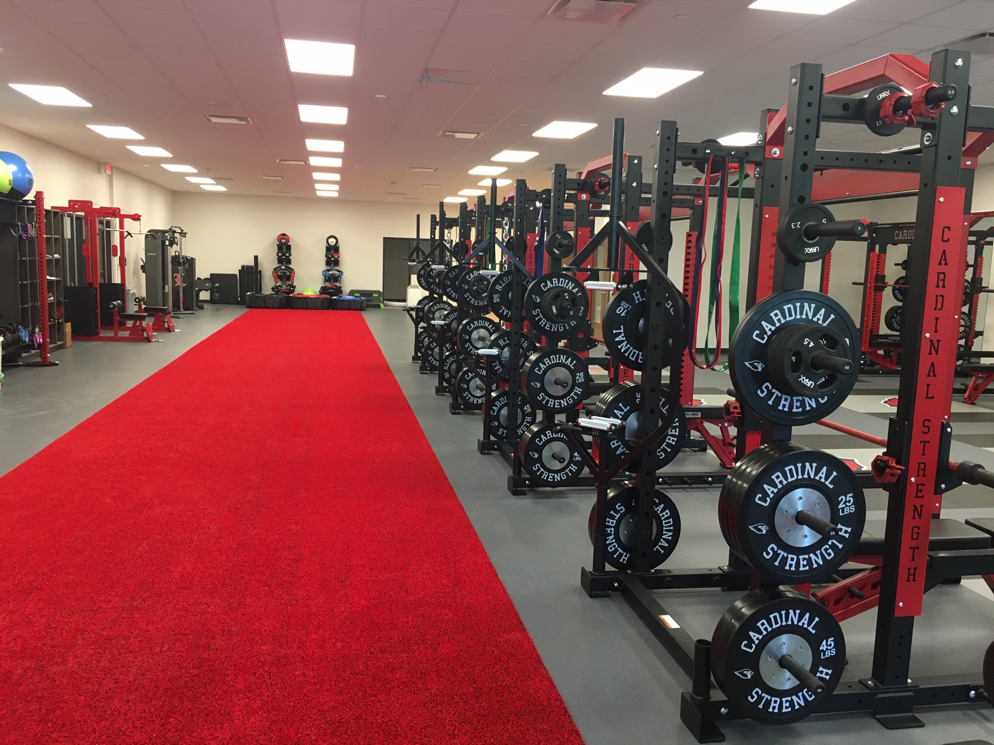 How Equipment Manufacturers Consult on Fitness Facility Design and  Programming